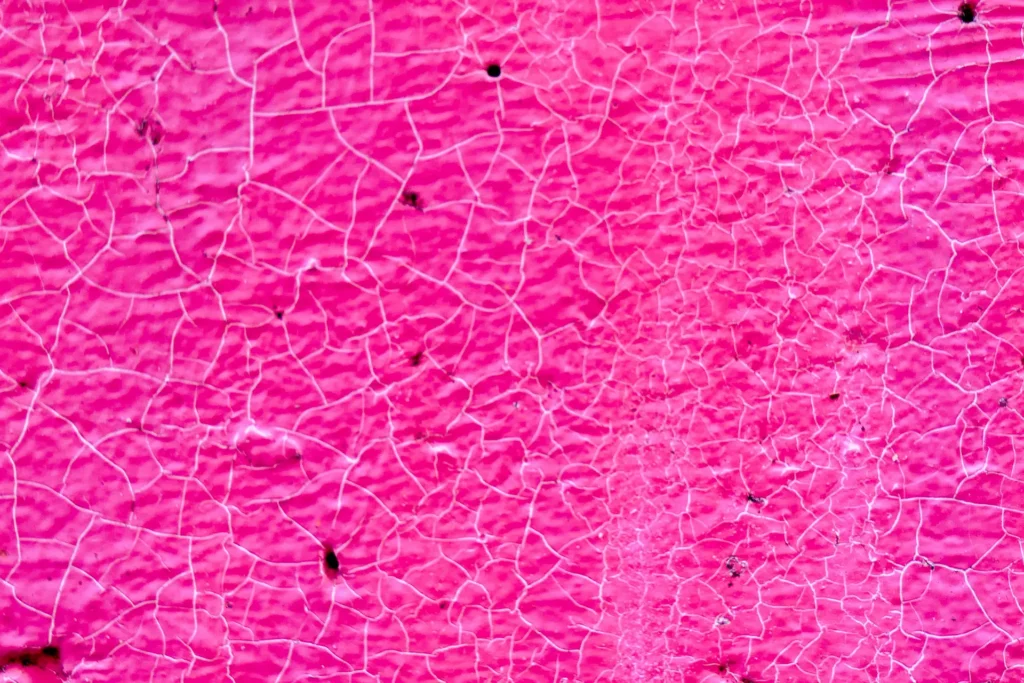 texture color magenta che sembra rappresentare il terreno arido e crepato